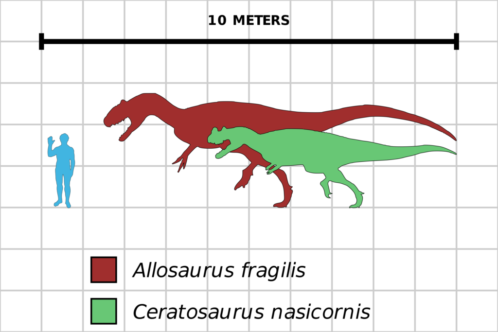 Tamaño de allosaurus